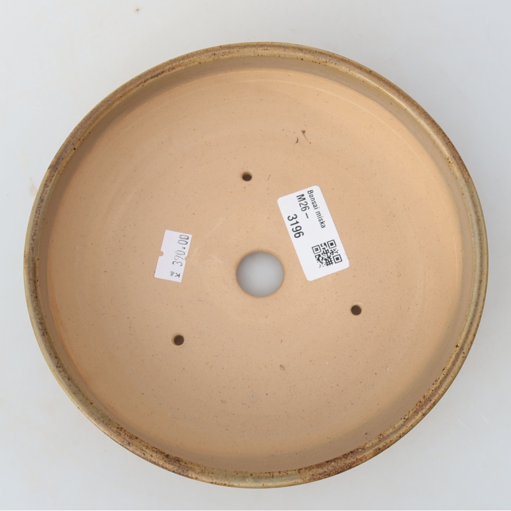 Pot à bonsaï en céramique 17,5 x 17,5 x 5,5 cm, couleur beige
