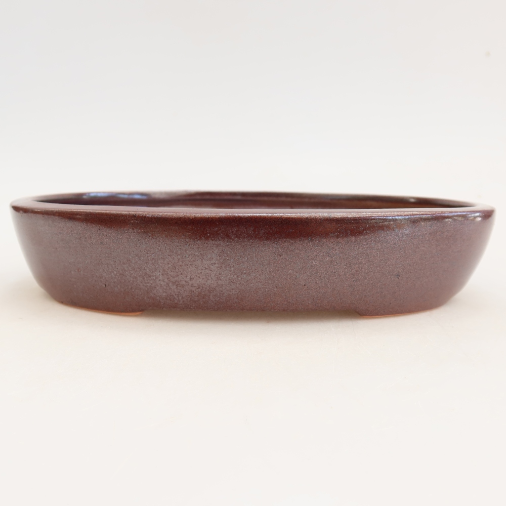 Pot à bonsaï en céramique 22 x 17 x 4 cm, couleur bordeaux