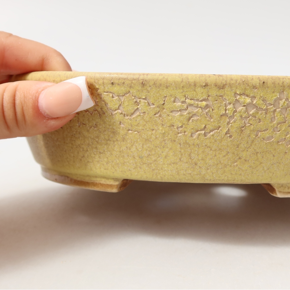 Pot à bonsaï en céramique 18,5 x 16,5 x 4,5 cm, couleur jaune
