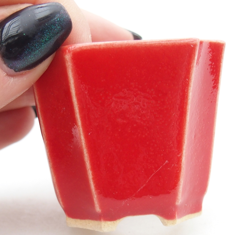 Mini bol bonsaï 4,5 x 4,5 x 4 cm, couleur rouge