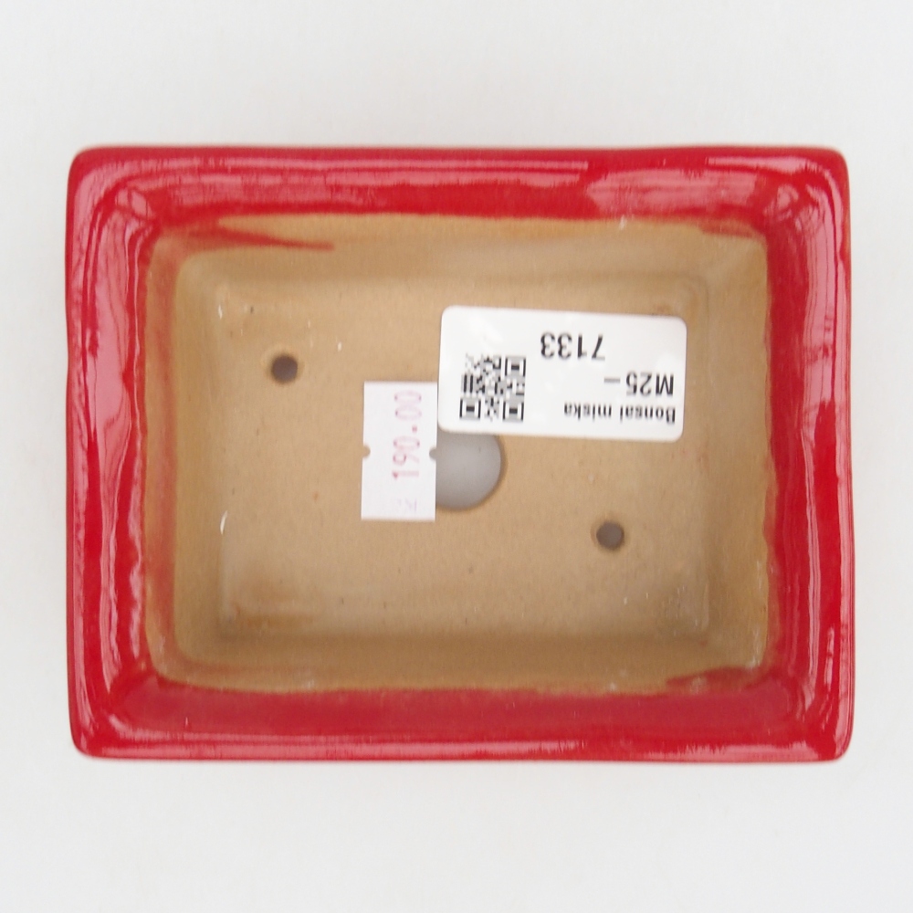 Bol à bonsaï en céramique 11 x 8,5 x 4 cm, couleur rouge