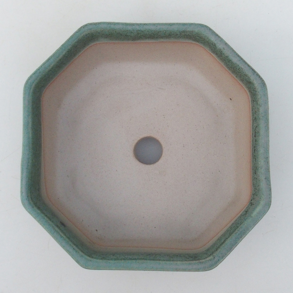 Coupe bonsaï H13 - 12,5 x 12,5 x 4,5 cm - vert