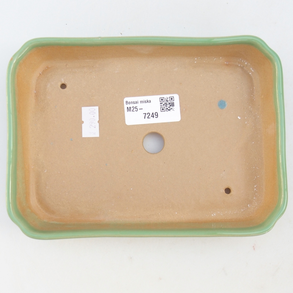 Bol à bonsaï en céramique 18,5 x 13,5 x 3,5 cm, vert
