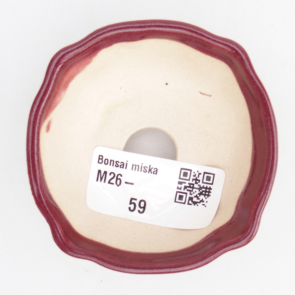 Mini bol bonsaï 6,5 x 6,5 x 3 cm, bordeaux