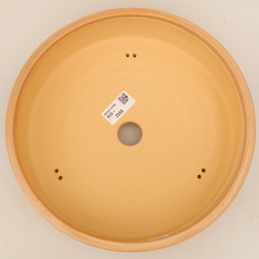 Pot à bonsaï en céramique 26 x 26 x 6,5 cm, couleur beige