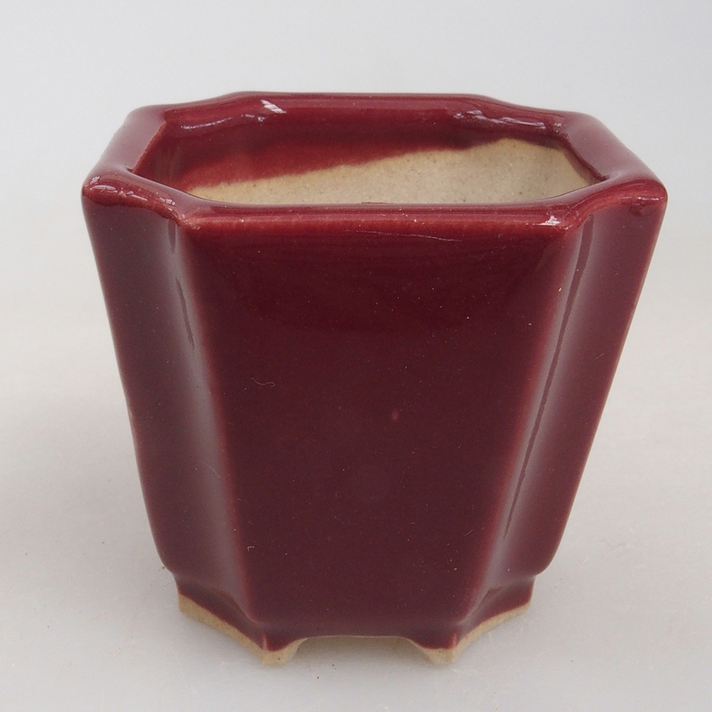 Mini bol bonsaï 4 x 4 x 4 cm, bordeaux