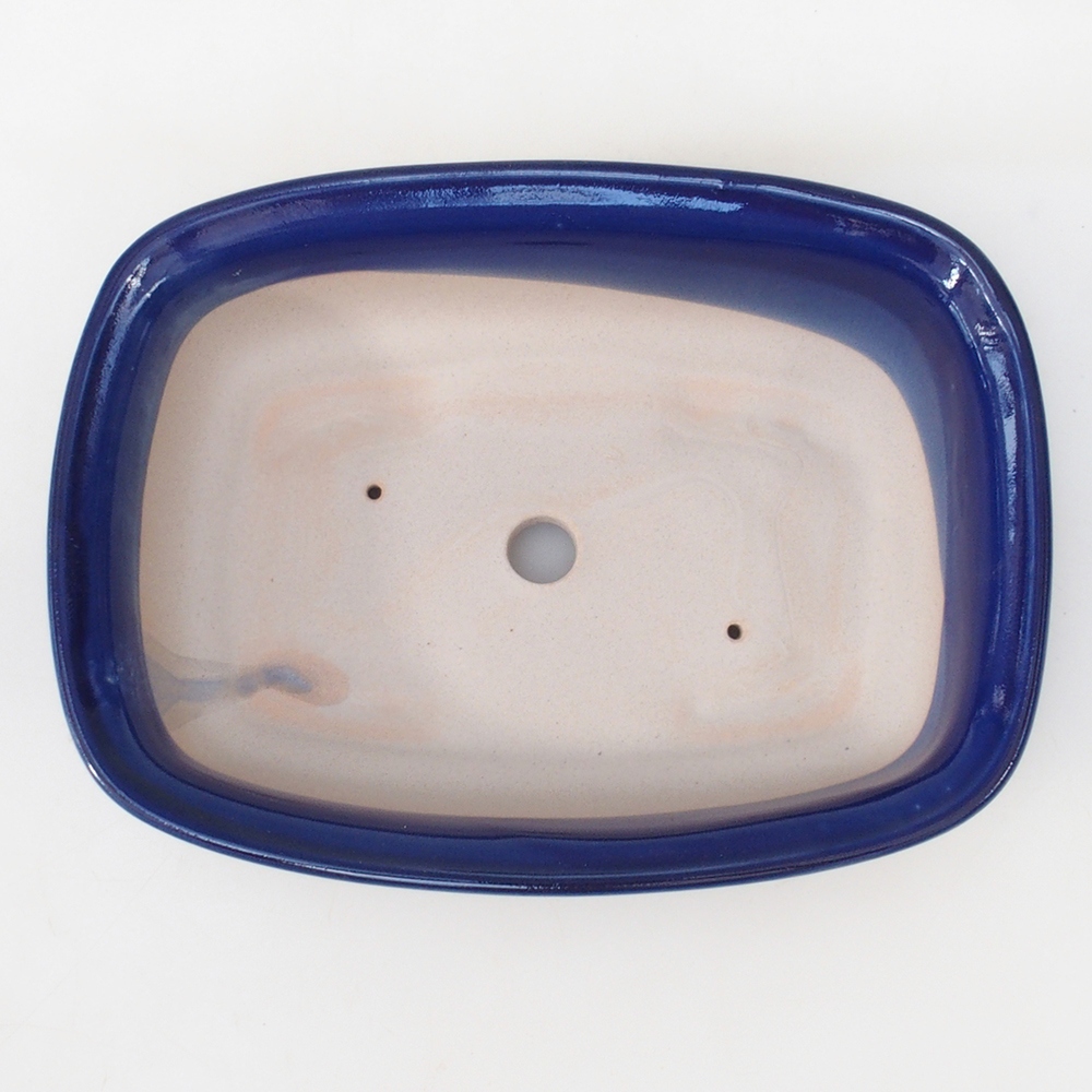 Coupe Bonsaï H09 - 30 x 23 x 7,5 cm - bleu