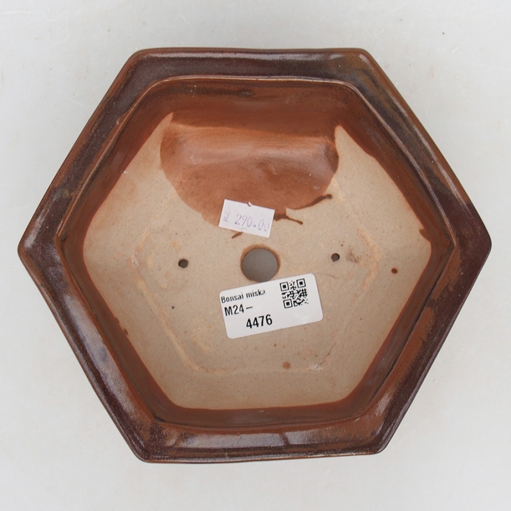 Bol à bonsaï en céramique 17 x 15 x 6 cm, brun