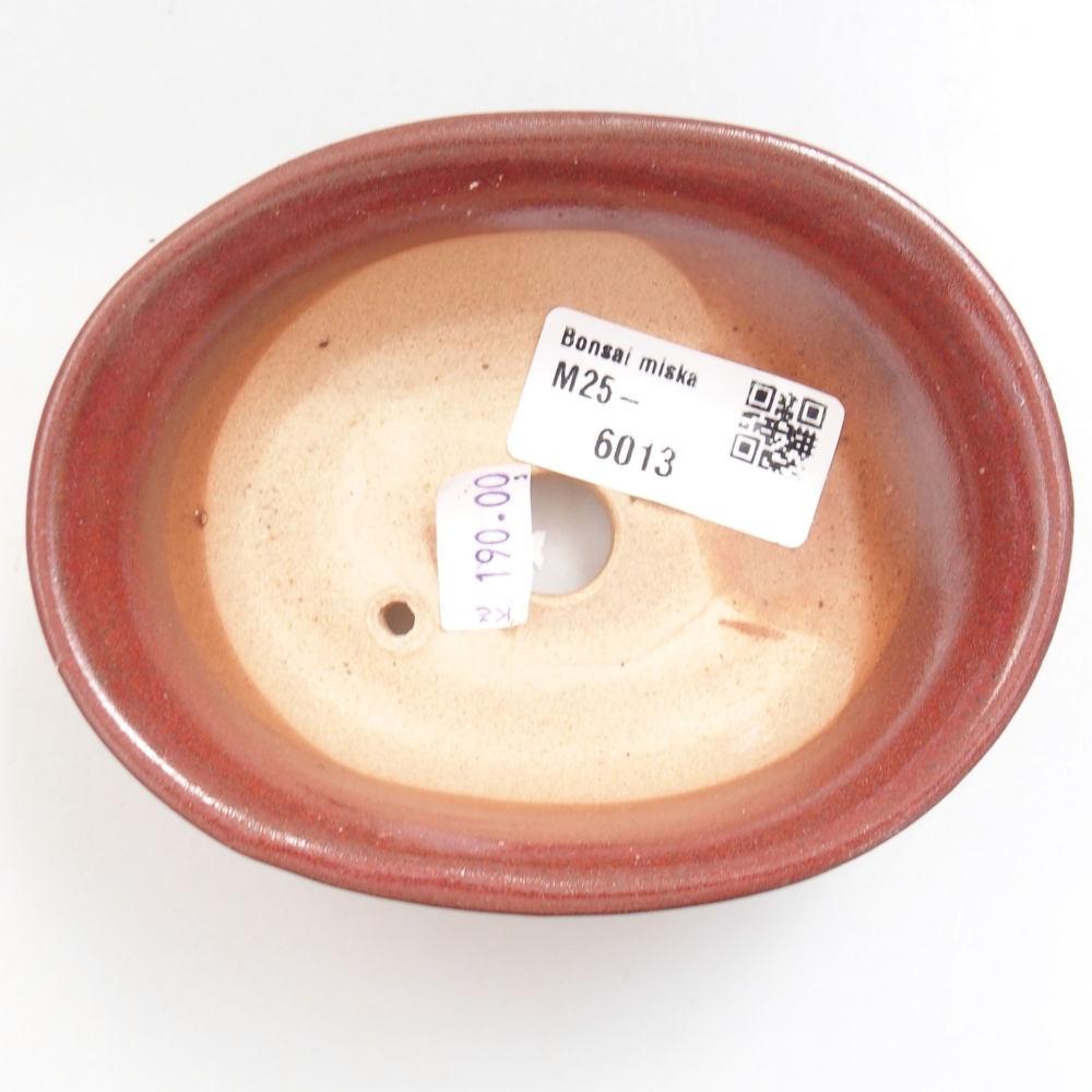 Bol à bonsaï en céramique 22 x 17 x 5 cm, vert