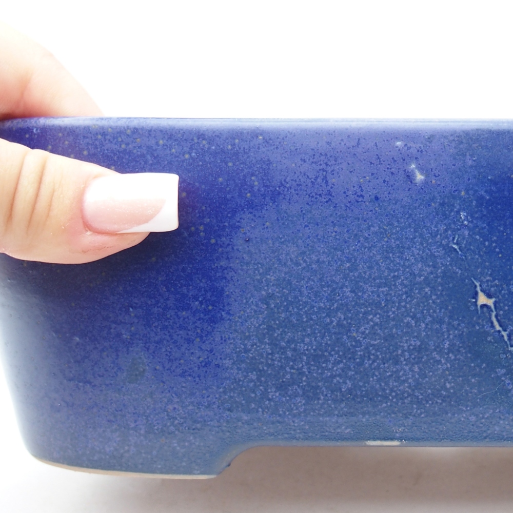 Bol à bonsaï en céramique 23 x 18 x 7,5 cm, couleur bleu