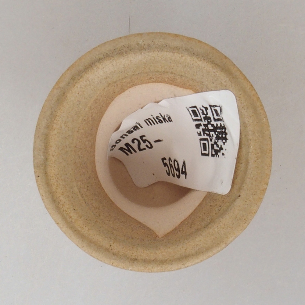 Mini bol bonsaï 4 x 4 x 4 cm, brun