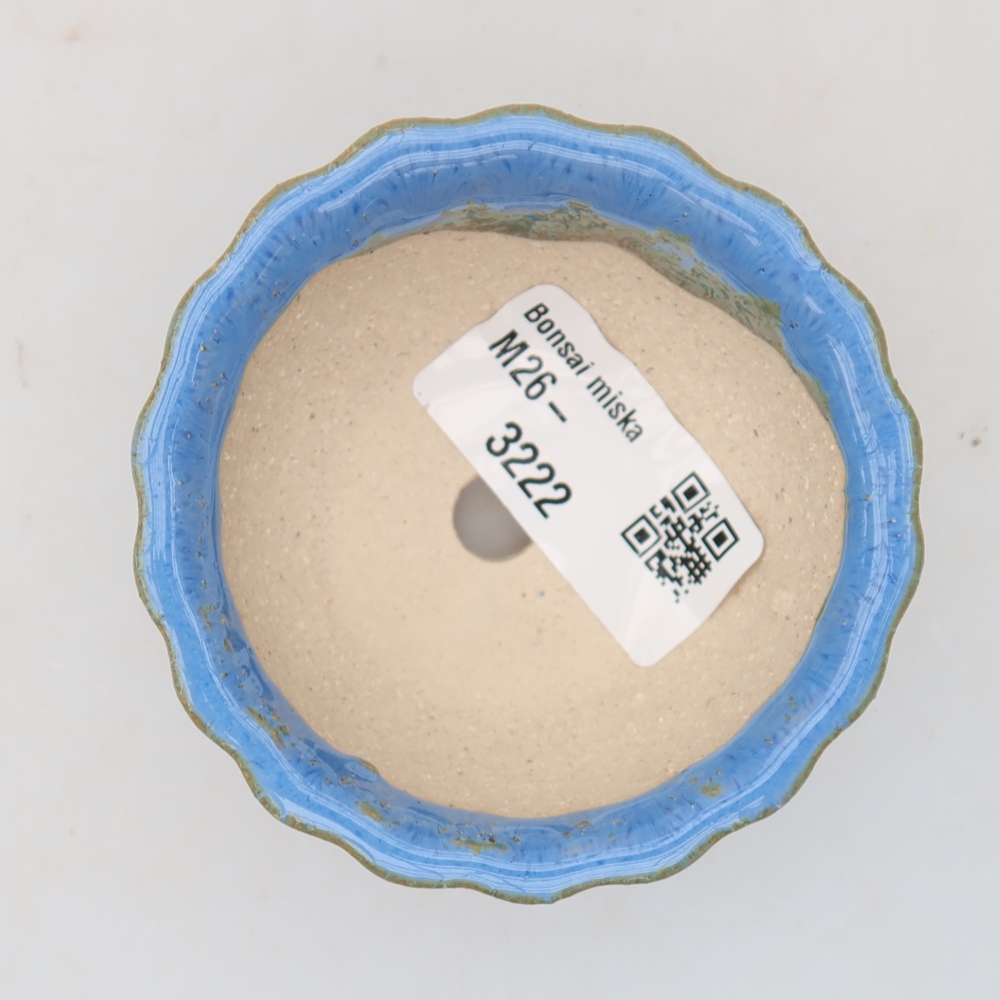 Pot à bonsaï en céramique 7 x 7 x 4 cm, couleur bleue