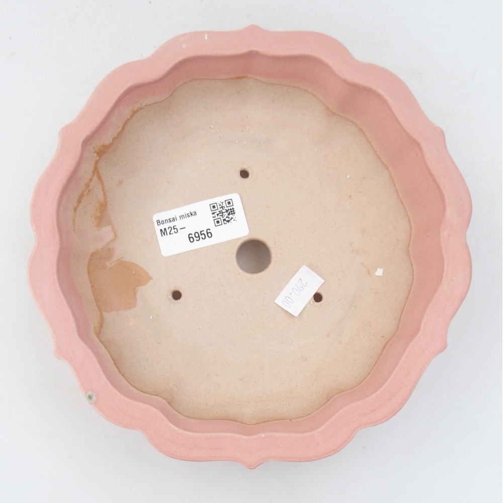 Bol à bonsaï en céramique 19 x 19 x 5 cm, rose