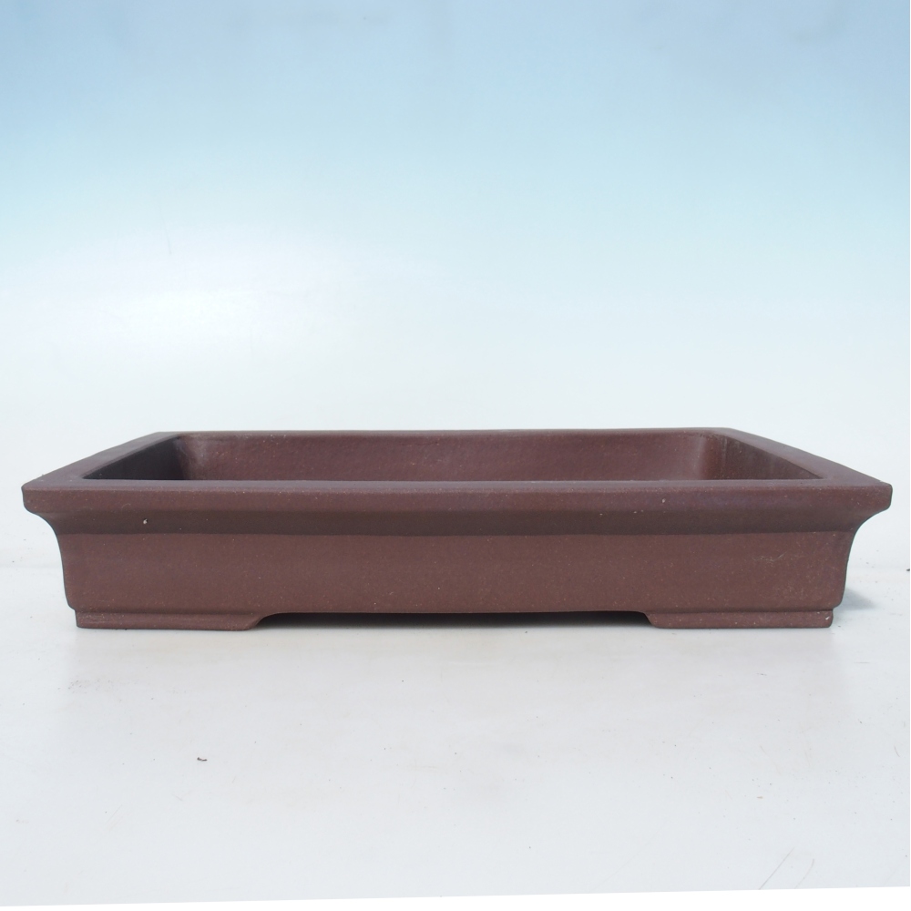 Bol pour bonsaï 36,5 x 24 x 6,5 cm bouleau brun