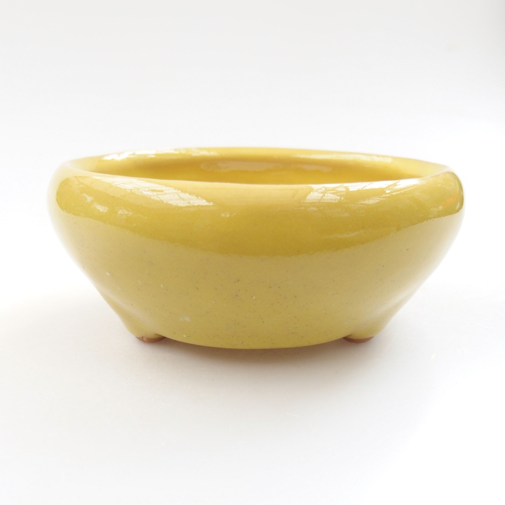 Bol à bonsaï en céramique 22 x 17 x 5 cm, vert