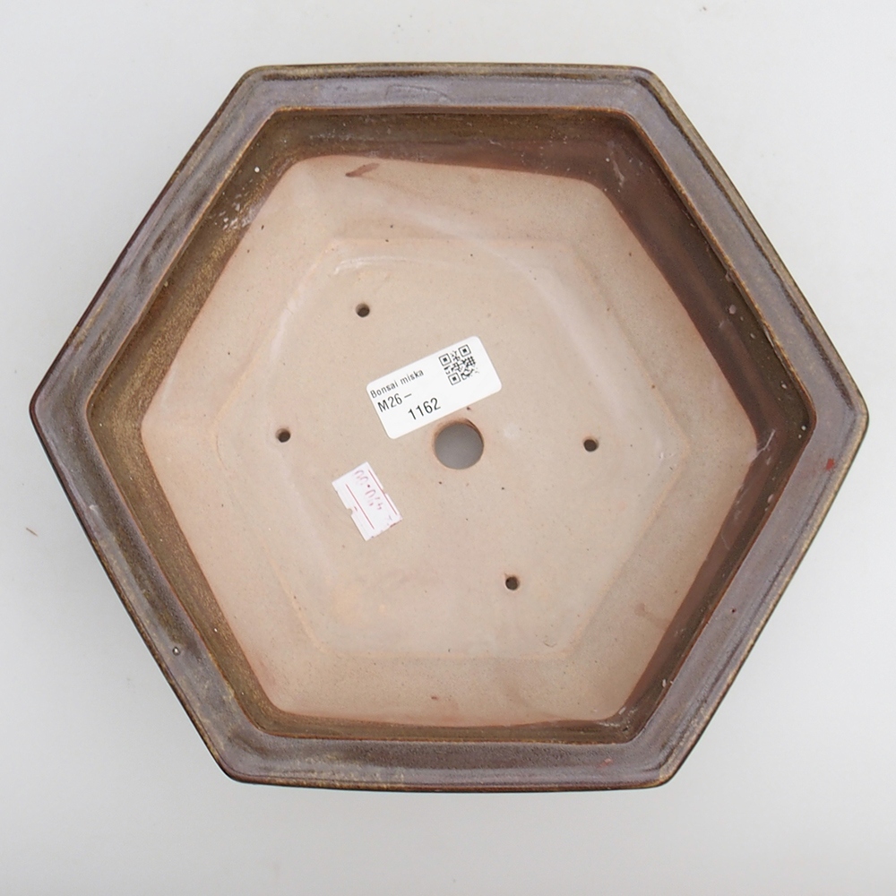 Bol à bonsaï en céramique 23 x 21 x 7,5 cm, vert-brun