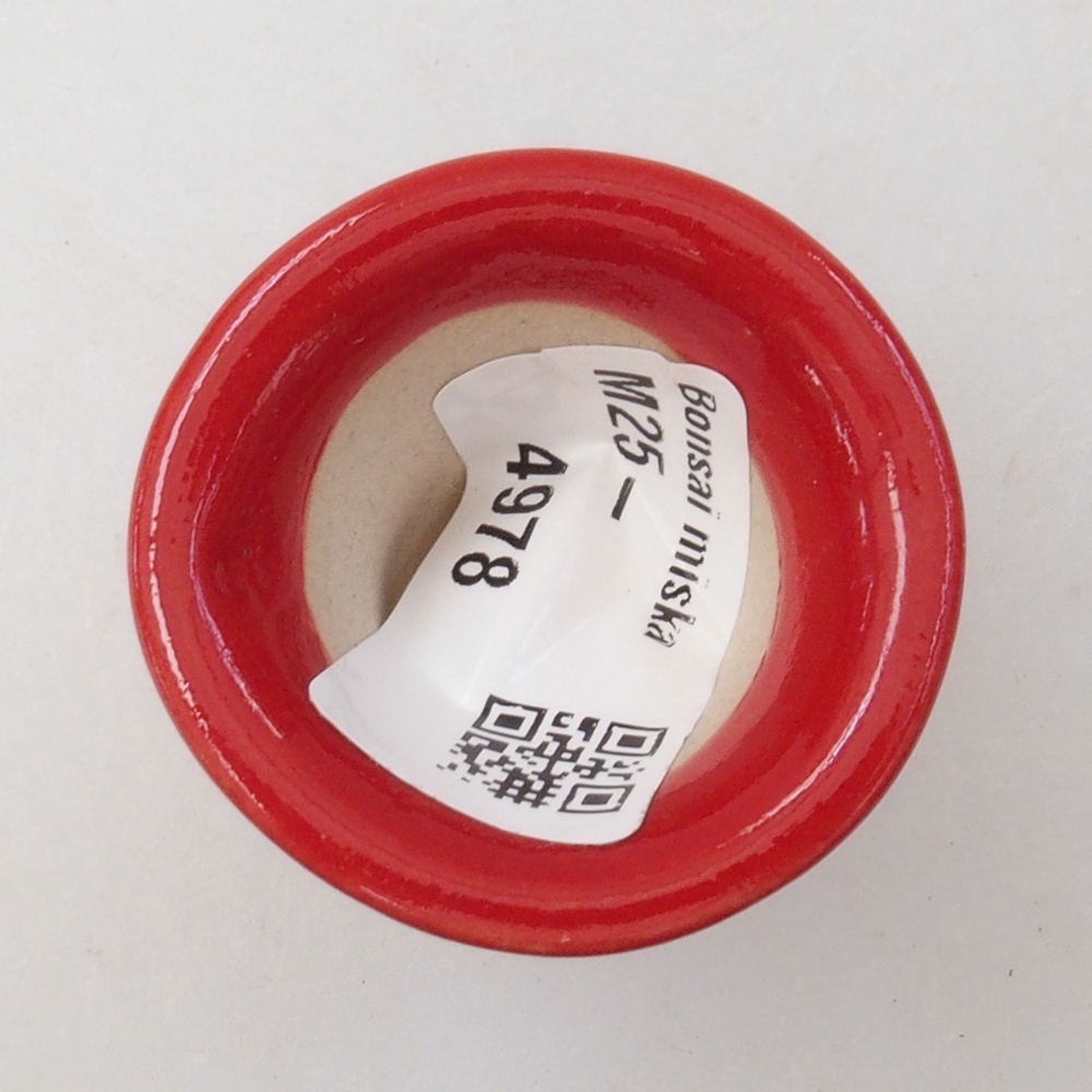 Mini bol bonsaï 4 x 4 x 4 cm, couleur rouge