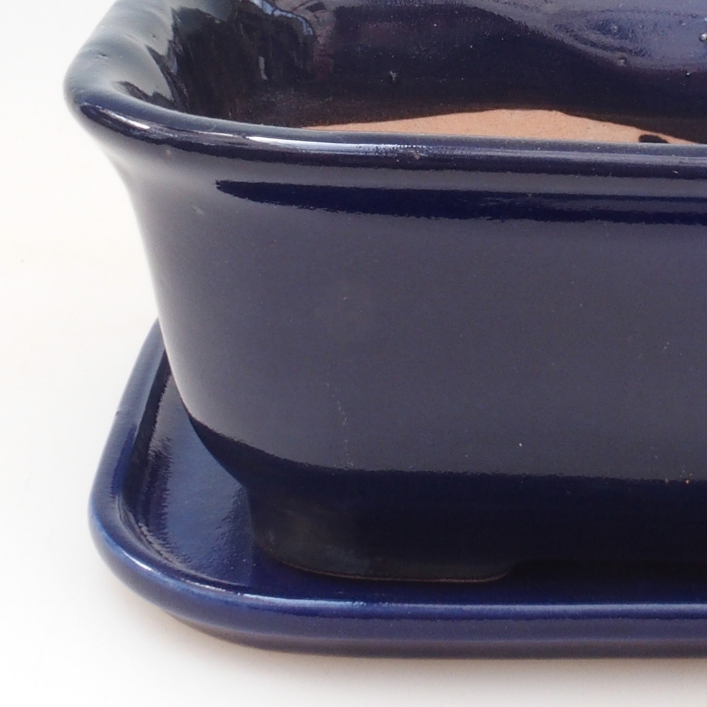 Bol Bonsaï + soucoupe H38 - 12x10x5,5 cm - bleu