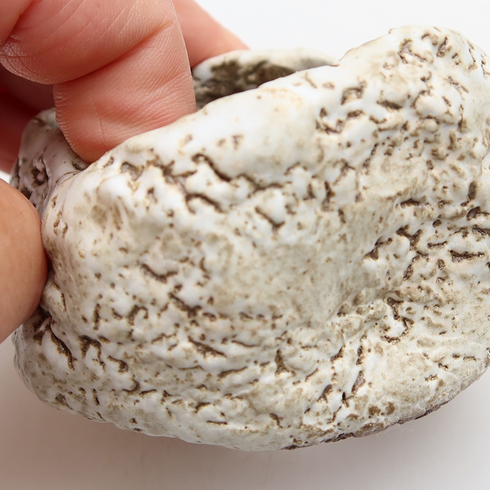 Coquille en céramique  6 x 6 x 5 cm, couleur brun-blanc