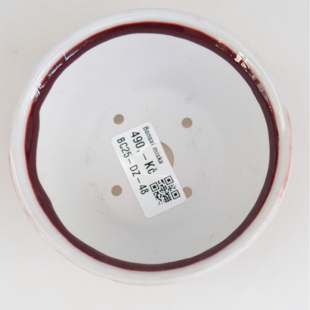 Bol à bonsaï en céramique 10,5 x 10,5 x 5 cm, couleur rouge