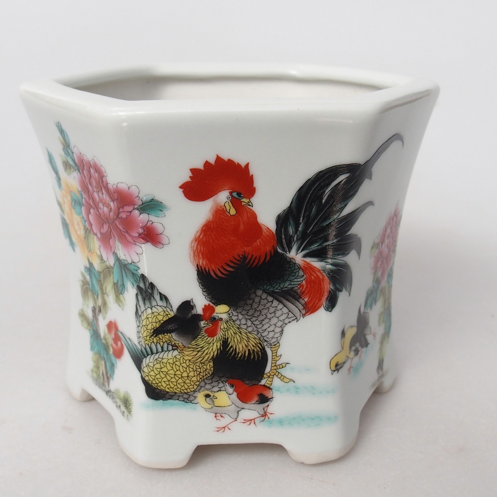 Bol à bonsaï en céramique 10,5 x 9,5 x 9 cm, couleur blanc