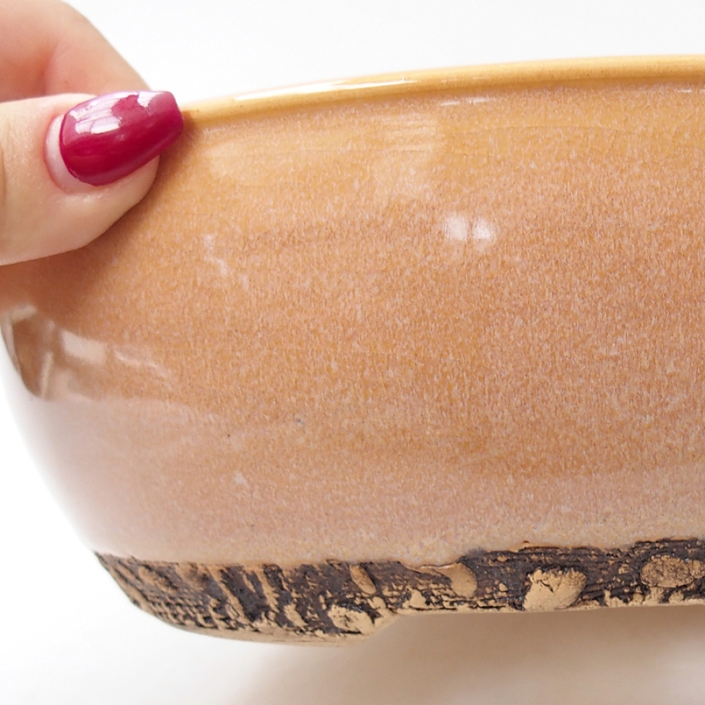 Bol à bonsaï en céramique 20,5 x 20,5 x 7,5 cm, couleur beige