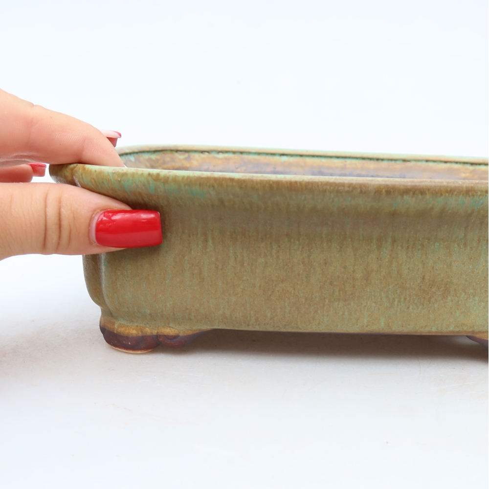 Pot à bonsaï en céramique 20 x 17,5 x 6 cm, couleur verte