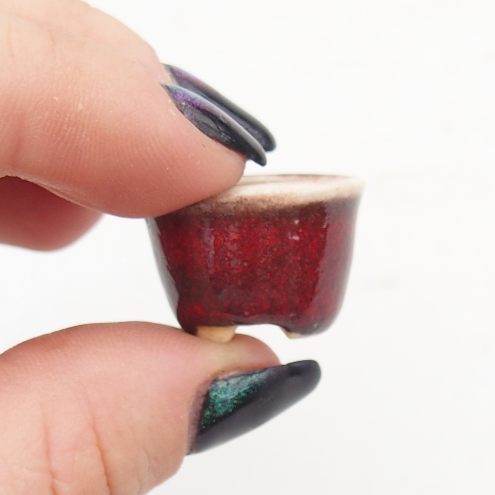 Mini bol bonsaï 2 x 2 x 1,5 cm, couleur rouge