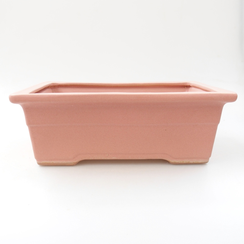 Bol à bonsaï en céramique 22 x 16 x 8 cm, rose
