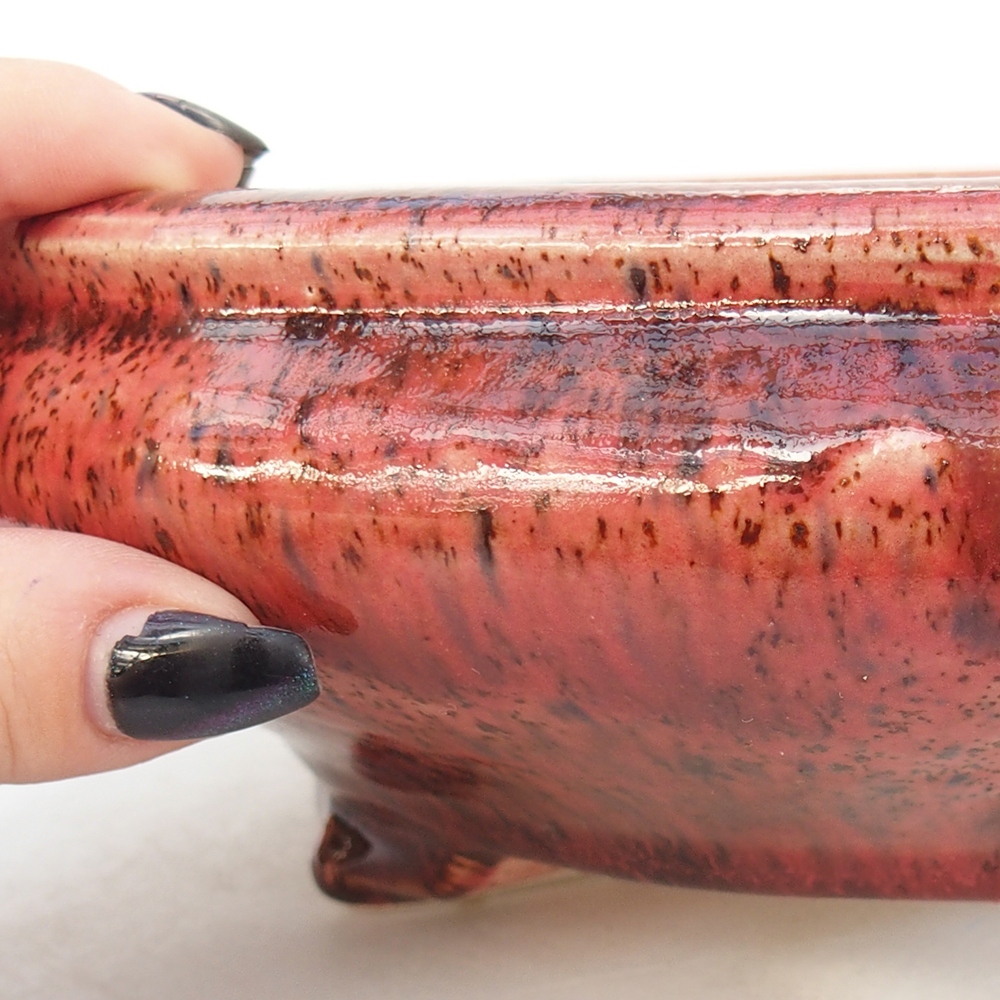 Bol à bonsaï en céramique 25 x 25 x 7,5 cm, couleur rouge