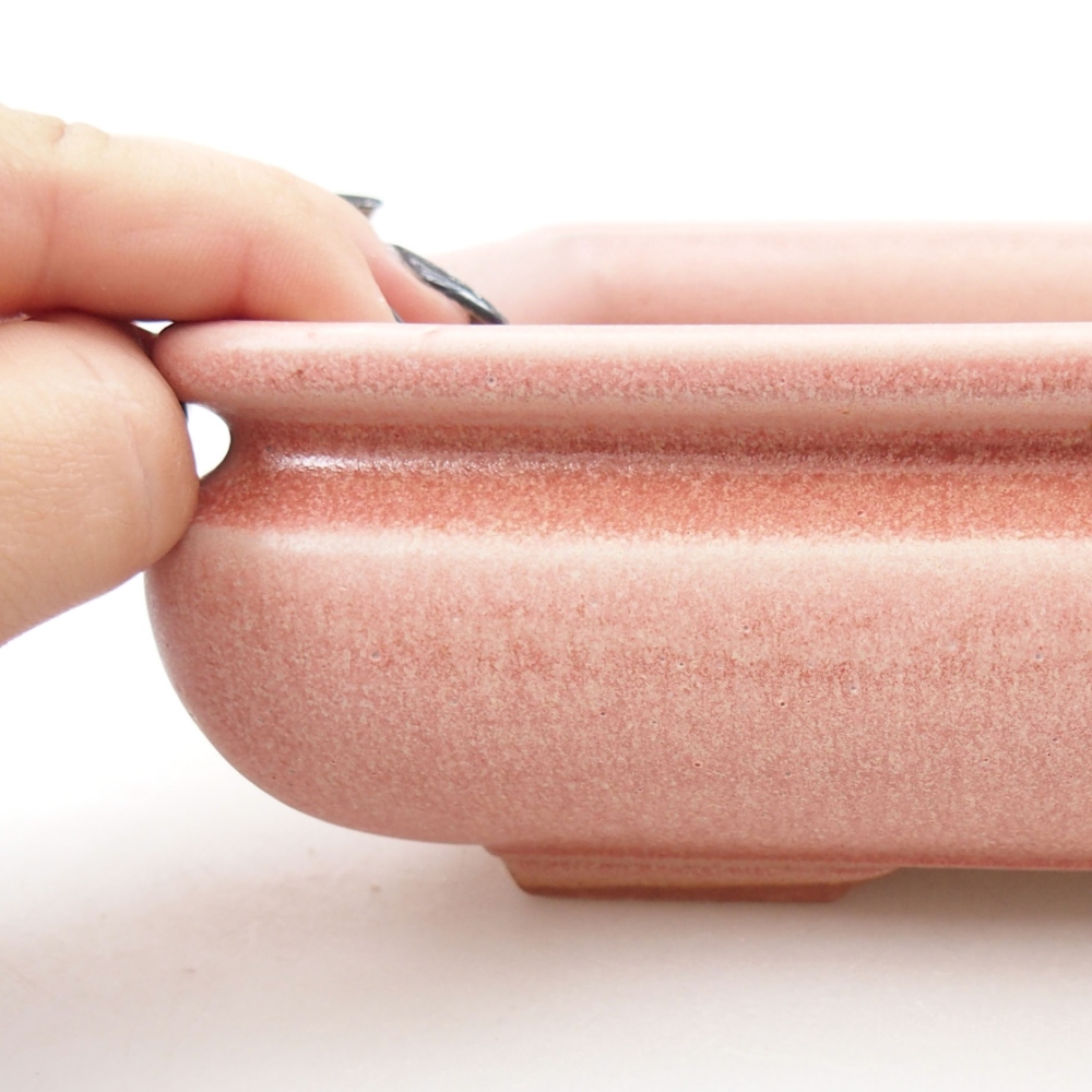 Bol à bonsaï en céramique 22 x 17 x 5 cm, vert