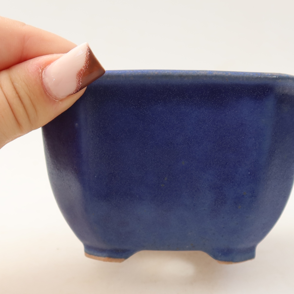 Pot à bonsaï en céramique 10 x 10 x 6,5 cm, couleur bleue