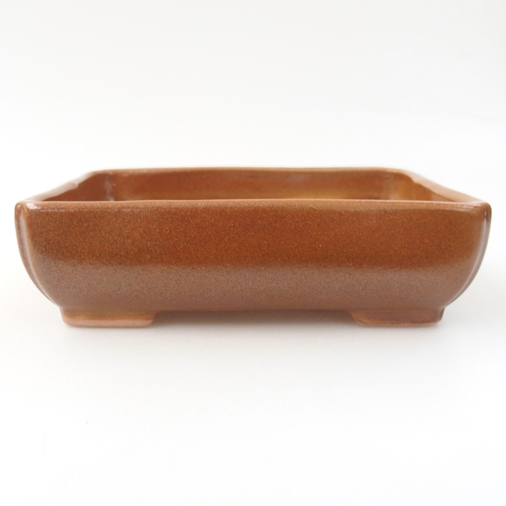 Bol à bonsaï en céramique 22 x 17 x 5 cm, vert