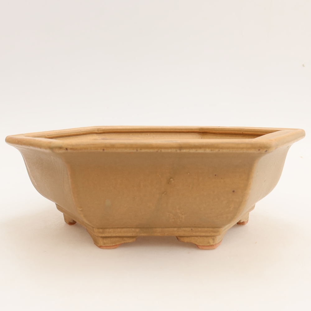 Pot à bonsaï en céramique 24 x 21,5 x 7,5 cm, couleur beige