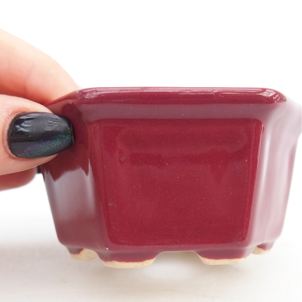 Mini bol bonsaï 8 x 7 x 4 cm, bordeaux