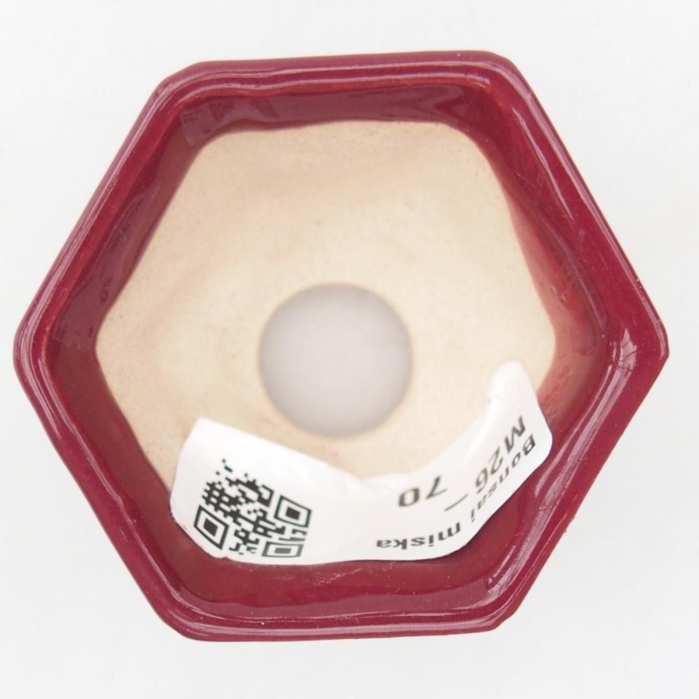 Mini bol bonsaï 5 x 4,5 x 3 cm, bordeaux