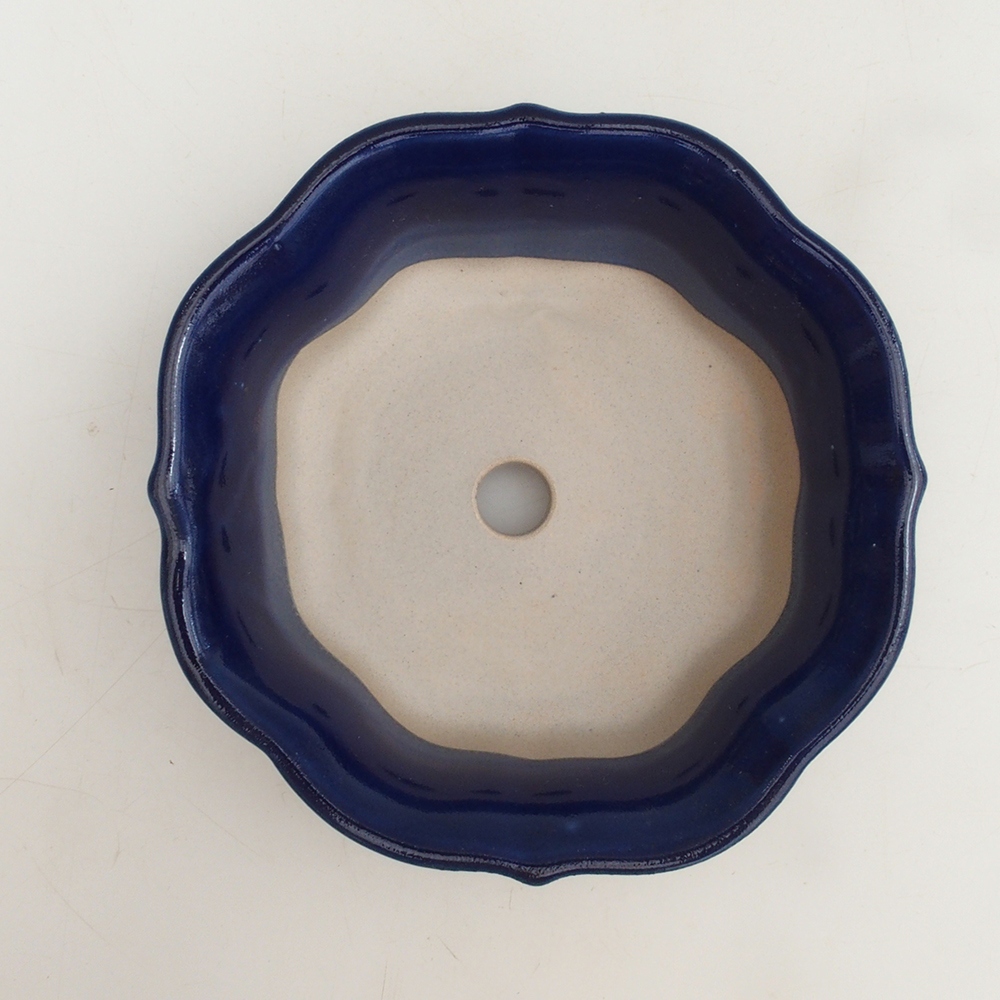 Coupe bonsaï H06 - 14,5 x 14,5 x 5 cm - bleu