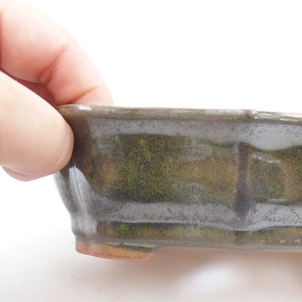 Bol à bonsaï en céramique 22 x 17 x 5 cm, vert