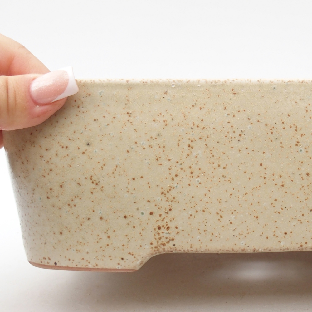 Bol à bonsaï en céramique 23 x 18 x 7,5 cm, couleur beige