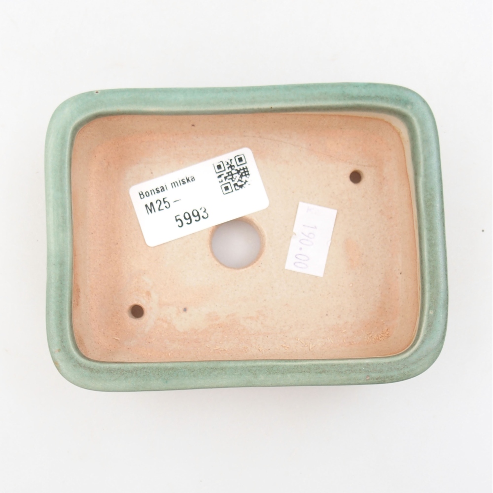 Bol à bonsaï en céramique 22 x 17 x 5 cm, vert