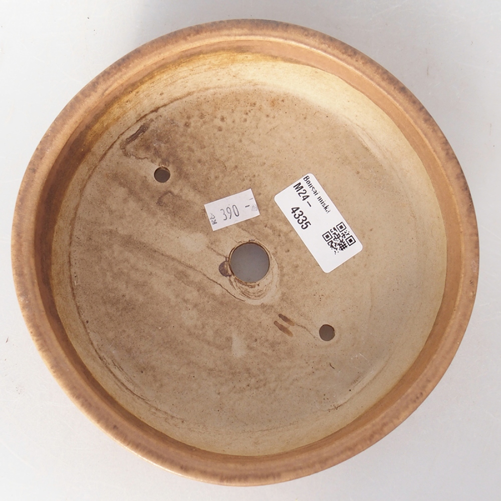 Bol à bonsaï en céramique 18 x 18 x 5 cm, rose