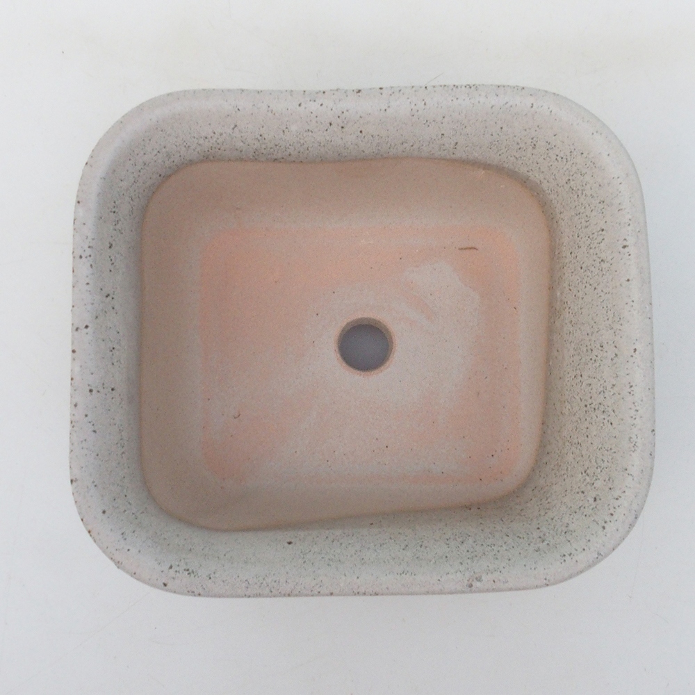 Coupe bonsaï H38 - 12 x 10 x 5,5 cm - beige