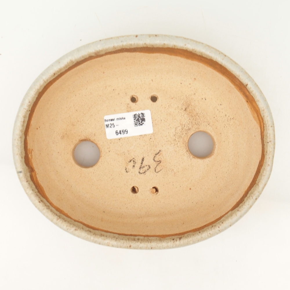 Bol bonsaï 20 x 16 x 6,5 cm , couleur beige