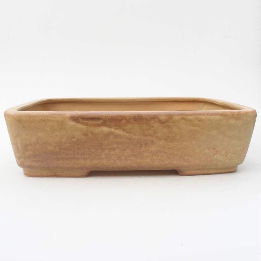 Bol à bonsaï en céramique 26,5 x 20,5 x 6,5 cm, couleur beige