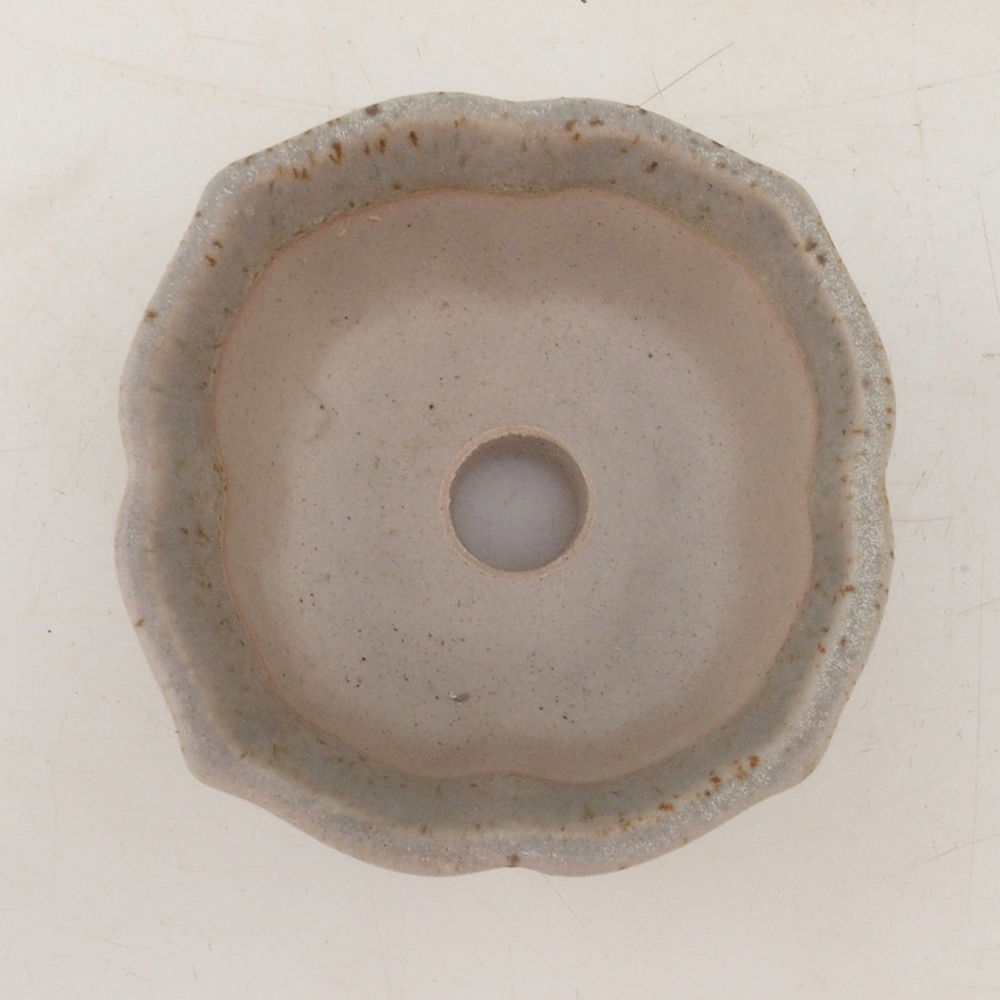 Coupe bonsaï H95 - 7,5 x 7,5 x 4 cm - beige