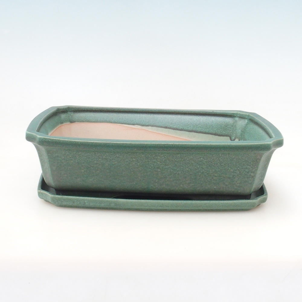 Bol bonsaï + soucoupe H07 - 30 x 20,5 x 8 cm - vert