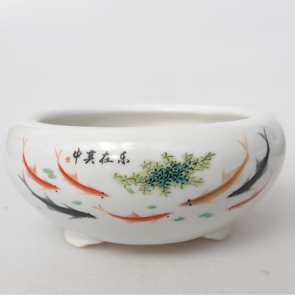 Bol à bonsaï en céramique 10 x 10 x 5 cm, couleur blanc