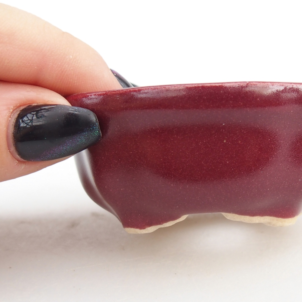 Mini bol bonsaï 6,5 x 6,5 x 3 cm, bordeaux