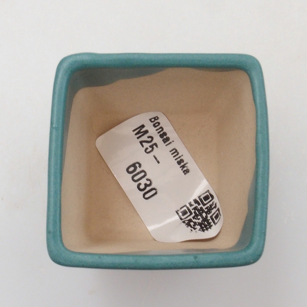 Bol à bonsaï en céramique 6,5 x 5,5 x 4 cm, couleur bleu