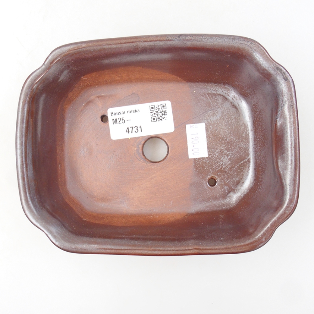 Bol à bonsaï en céramique 16 x 12 x 5 cm, brun
